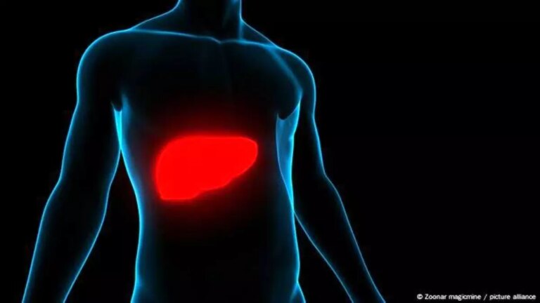 hepatit-turleri-ve-korunma-yontemleri-7hEiirP7.jpg